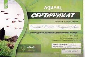 Диплом / сертификат №13 — Григорьев Николай Владимирович