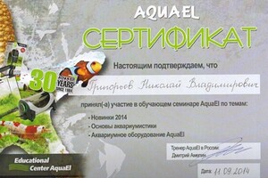 Диплом / сертификат №9 — Григорьев Николай Владимирович