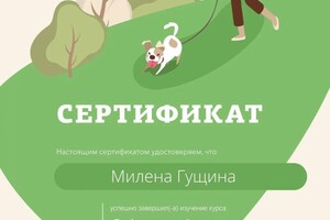 Диплом / сертификат №5 — Гущина Милена Игоревна