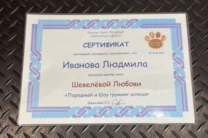 Диплом / сертификат №8 — Иванова Людмила Леонидовна