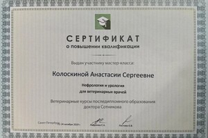 Диплом / сертификат №1 — Колоскина Анастасия Сергеевна