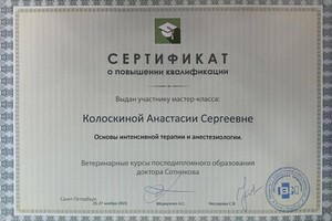 Диплом / сертификат №3 — Колоскина Анастасия Сергеевна