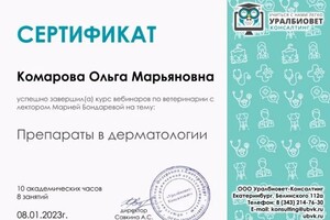 Диплом / сертификат №3 — Комарова Ольга Марьяновна