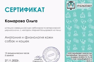 Диплом / сертификат №4 — Комарова Ольга Марьяновна