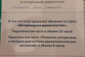 Диплом / сертификат №8 — Комарова Ольга Марьяновна