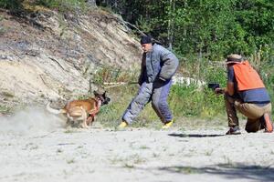 тренировка в Карелии — Коновалов Дмитрий Александрович