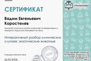 Диплом / сертификат №3 — Коростелев Вадим Евгеньевич