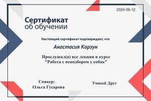 Диплом / сертификат №17 — Корзун Анастасия Олеговна