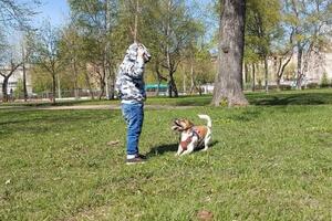 Научить ребёнка правильному общению с животными - легко, главное найти им общее занятие и обозначить правила общения! — Кошелева Александра Сергеевна