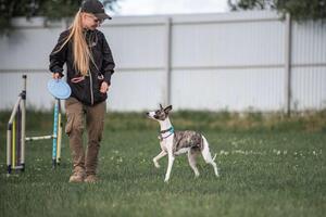 Фото с соревнованой по дисциплине фризждилити.; Чтобы не происходило вокруг, вы с собакой должны быть командой — Кожанова Александра Геннадьевна