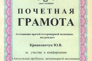 Диплом / сертификат №7 — Криволапчук Юрий Владимирович