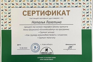 Диплом / сертификат №1 — Лалетина Наталья