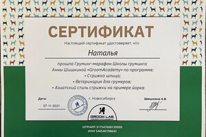 Диплом / сертификат №2 — Лалетина Наталья