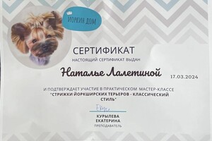 Диплом / сертификат №3 — Лалетина Наталья