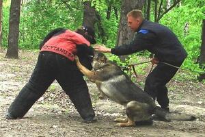 Защитная и охранная дрессировка собак — Лапушкин Дмитрий Валерьевич