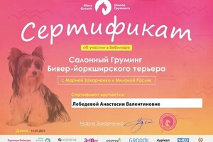 Диплом / сертификат №19 — Лебедева Анастасия Валентиновна