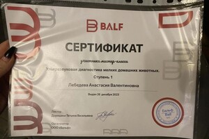 Диплом / сертификат №22 — Лебедева Анастасия Валентиновна