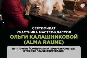 Диплом / сертификат №28 — Лебедева Анастасия Валентиновна