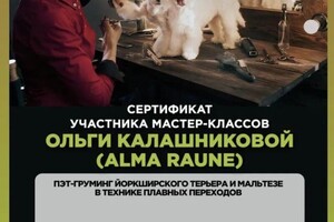 Диплом / сертификат №31 — Лебедева Анастасия Валентиновна