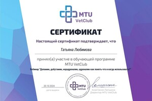 Диплом / сертификат №19 — Любимова Татьяна Андреевна