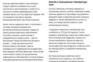 Статья на Post News: Все как у людей: как понять, что кошку или собаку нужно срочно отвезти к ветеринару от 30 января... — Любимова Татьяна Андреевна