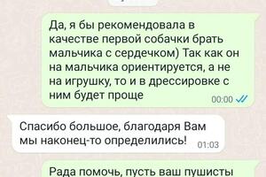 Помощь в подборе четвероногого друга для семьи с детьми в качестве первой собачки) — Любимова Татьяна Андреевна