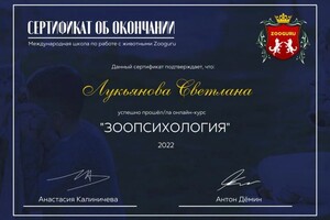 Диплом / сертификат №2 — Лукьянова Светлана Зориславовна