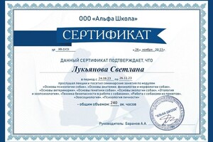 Диплом / сертификат №3 — Лукьянова Светлана Зориславовна