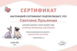 Диплом / сертификат №5 — Лукьянова Светлана Зориславовна