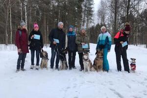 Ученики сдали норматив Управляемая городская собака — Морозова Софья Константиновна