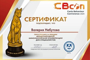 Диплом / сертификат №6 — Небутова Валерия Вячеславовна