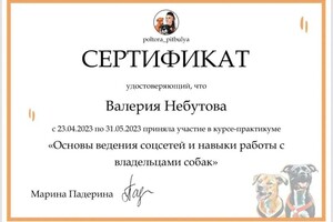 Диплом / сертификат №9 — Небутова Валерия Вячеславовна