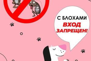 Портфолио №16 — Пантюхина Ольга Александровна