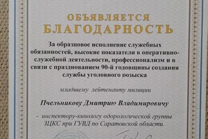 Диплом / сертификат №12 — Пчельников Дмитрий Владимирович