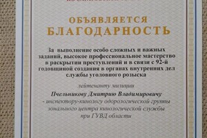 Диплом / сертификат №7 — Пчельников Дмитрий Владимирович