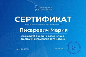 Диплом / сертификат №4 — Писаревич Мария Владимировна