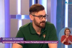 Портфолио №10 — Поляков Ярослав Юрьевич