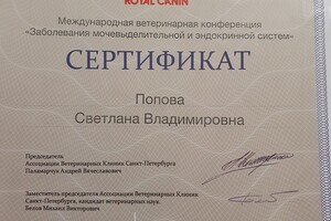 Конференция — Попова Светлана Владимировна