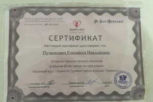 Диплом / сертификат №1 — Пузанкевич Елизавета Николаевна