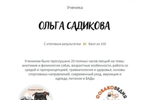 Диплом / сертификат №19 — Садикова Ольга Вадимовна