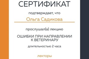 Диплом / сертификат №20 — Садикова Ольга Вадимовна