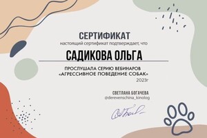 Диплом / сертификат №24 — Садикова Ольга Вадимовна