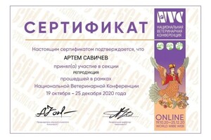 Диплом / сертификат №14 — Савичев Артем Михайлович