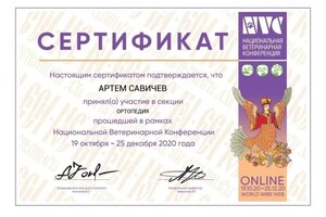 Диплом / сертификат №15 — Савичев Артем Михайлович