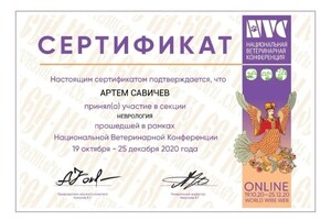 Диплом / сертификат №16 — Савичев Артем Михайлович