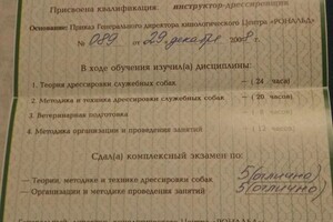 Выписка из диплома по обучению в кинологическом центре — Тенилова Юлия Александровна