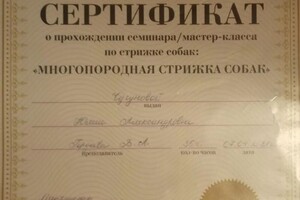 Сертификат по многопородной стрижке собак — Тенилова Юлия Александровна