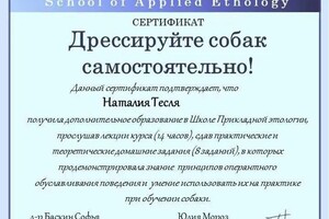 Диплом / сертификат №10 — Тесля Наталия Сергеевна