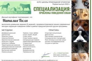 Диплом / сертификат №11 — Тесля Наталия Сергеевна