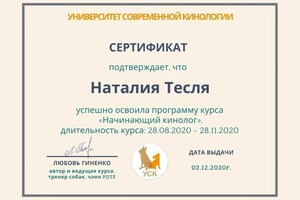 Диплом / сертификат №8 — Тесля Наталия Сергеевна